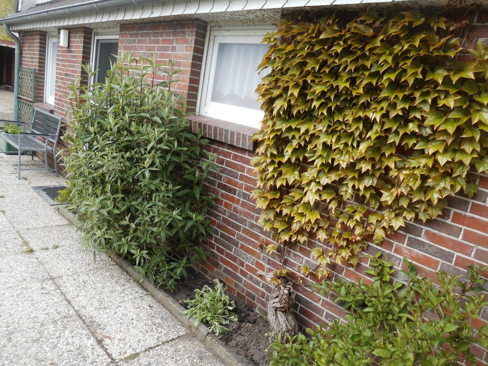 Moewennest Vila Neuharlingersiel Exterior foto